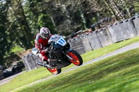 Oulton-Park-20th-March-2020;PJ-Motorsport-Photography-2020;anglesey;brands-hatch;cadwell-park;croft;donington-park;enduro-digital-images;event-digital-images;eventdigitalimages;mallory;no-limits;oulton-park;peter-wileman-photography;racing-digital-images;silverstone;snetterton;trackday-digital-images;trackday-photos;vmcc-banbury-run;welsh-2-day-enduro